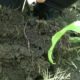 No-till soil structure with good aggregation