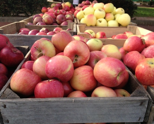 Crates of different types of apples.