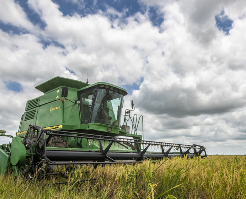 combine harvesting rice in Texas