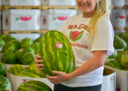 woman holding watermelon in processing warehouse