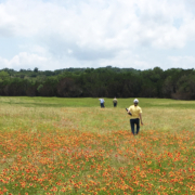 Bamberger Ranch, Texas