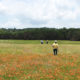 Bamberger Ranch, Texas