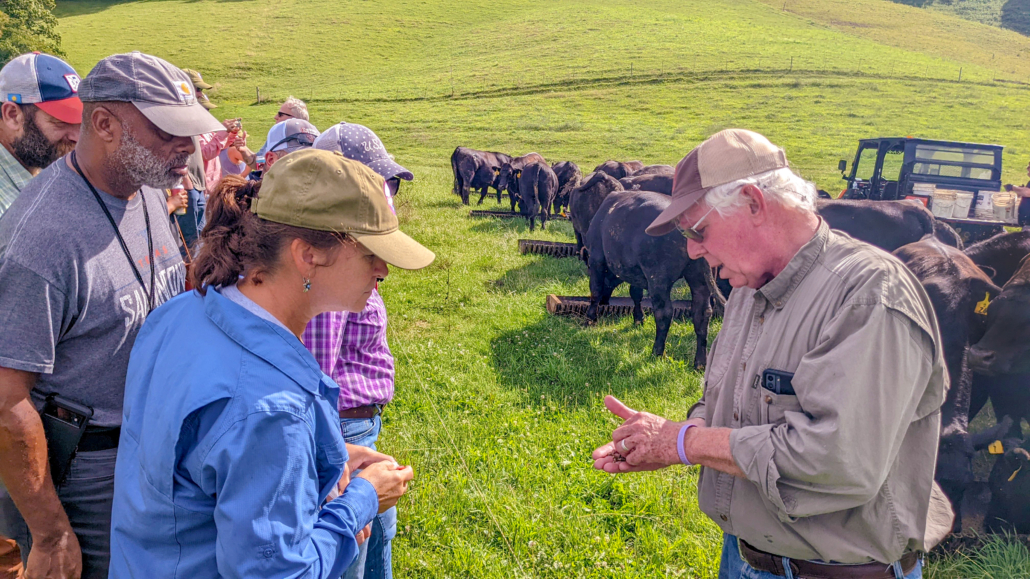 Graziers on a pasture walk learning skills for managing forage-based production.
