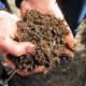 healthy soil in a person's hands