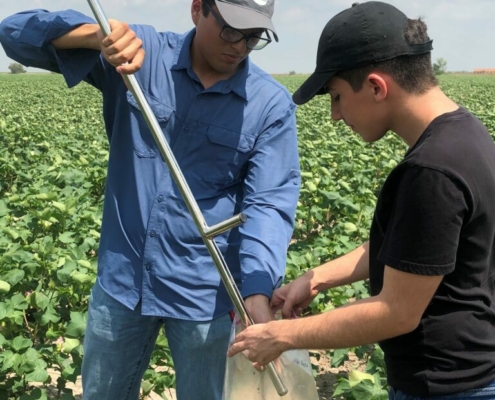 two people in a field using a soil probe