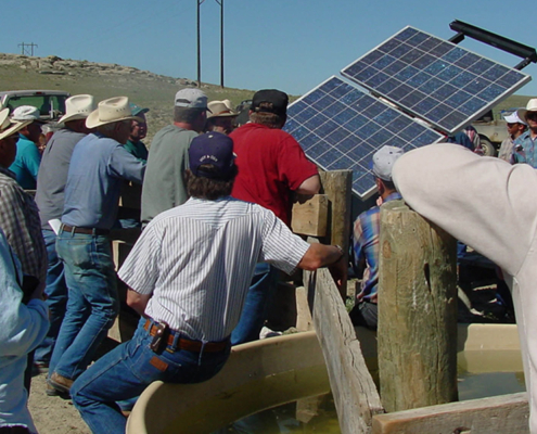 Ranchers around a solar energy system