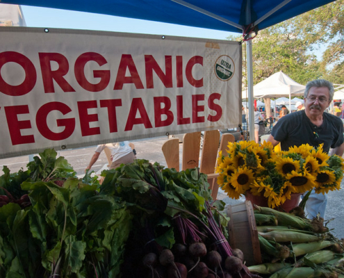 Display of vegetables and flowers at a market in Florida, with sign above that reads Organic Vegetables