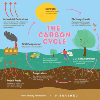 Carbon Farm and Ranch Planning in Texas – ATTRA – Sustainable Agriculture