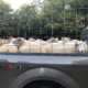 A flock of sheep heading to market