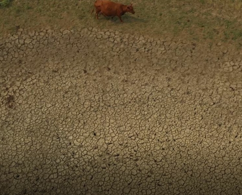 Drought soil