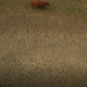 Drought soil
