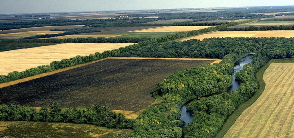 Riparian buffer strips, one of several possible agroforestry practices, protects water quality and helps prevent stream bank erosion