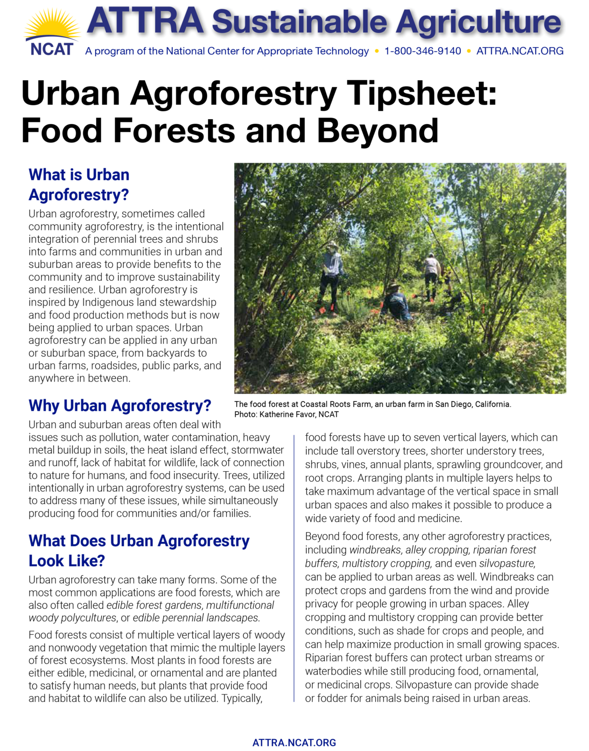 Urban Agroforestry Tipsheet: Food Forests and Beyond – ATTRA ...