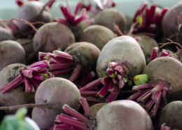pile of harvested beets with partial stems