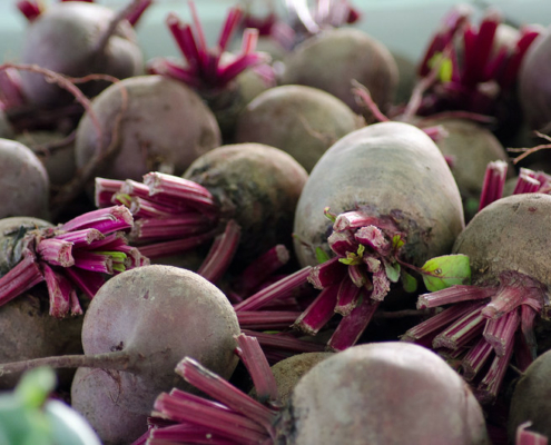 pile of harvested beets with partial stems