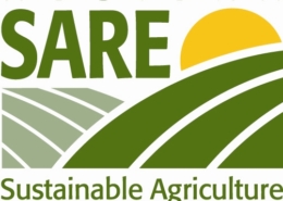 Green and yellow Western SARE logo graphic