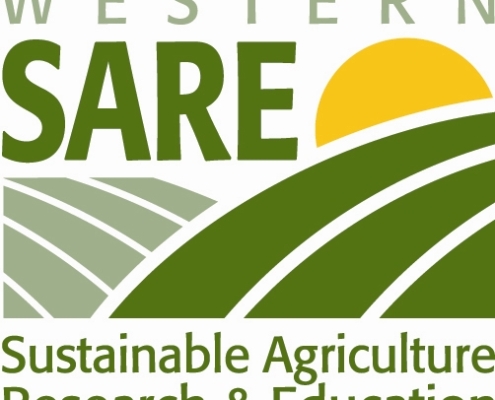 Green and yellow Western SARE logo graphic
