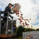 man empties a crate of nectarines off the back of a truck onto a compost pile, against background of sky