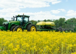 tractor pulls a no-till drill through a field of blooming yellow mustard below blue sky with clouds