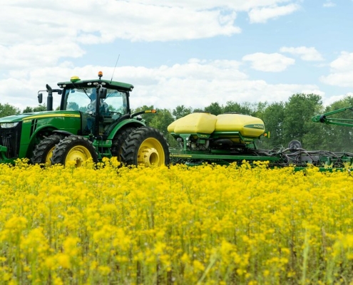 tractor pulls a no-till drill through a field of blooming yellow mustard below blue sky with clouds