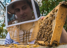 beekeeper in hood and frame with bees and honeycomb
