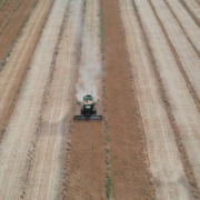 aerial view of combine harvesting wheat in Arizona