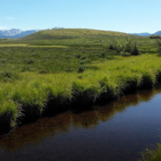 Stream next to green pastures with snow capped mountains in background