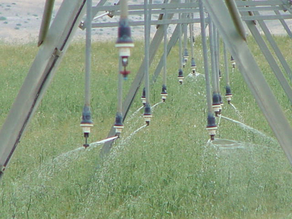 irrigation nozzles spraying water