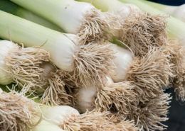 pile of leeks with roots attached