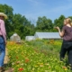 Two people walk away from the camera with a row of flowers between them and sky and trees in background.