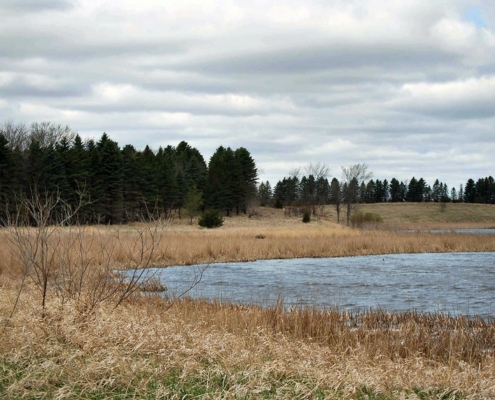 A pond with dry grass around the edge and forest behind, under sky with clouds.
