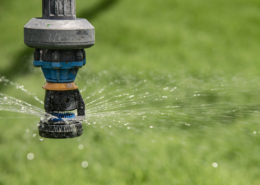 water sprays from an irrigation nozzle in front of green plant background