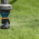 water sprays from an irrigation nozzle in front of green plant background