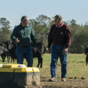 two men walk in a cow pasture, with a watering tank in the foreground and trees and blue sky in the background
