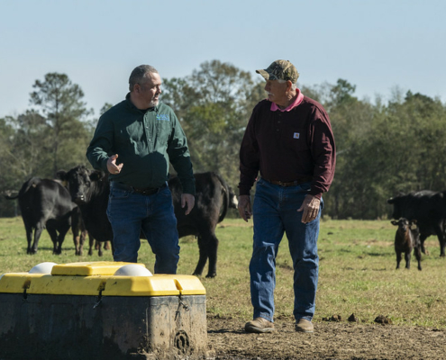 two men walk in a cow pasture, with a watering tank in the foreground and trees and blue sky in the background
