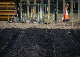 soil marked in garden beds, with a row of hand tools leaning against a fence in the background