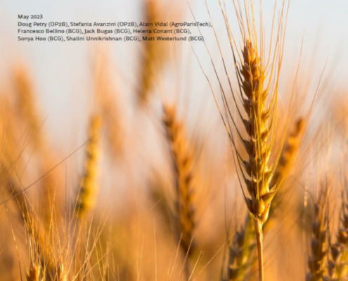 cover of Cultivating Farmer Prosperity publication, showing heads of wheat
