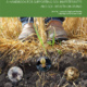 Farming with Soil Life Cover, showing a pair of boots standing on a cutaway soil profile