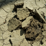 Dry, cracked soil