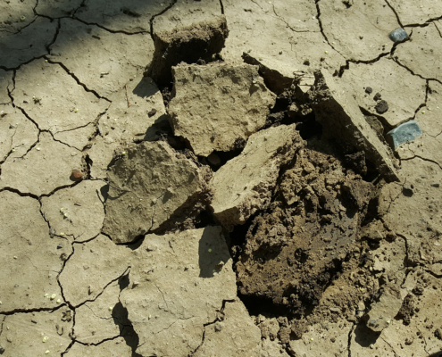 Dry, cracked soil