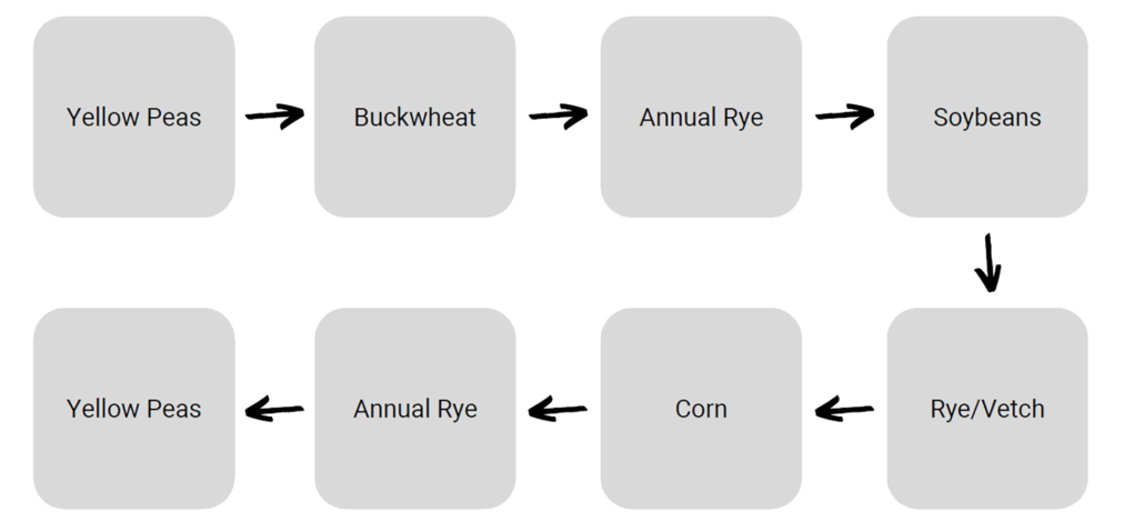 Example four-year crop rotation including yellow pea. 