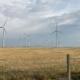 Wind farm in Judith Gap, Montana.