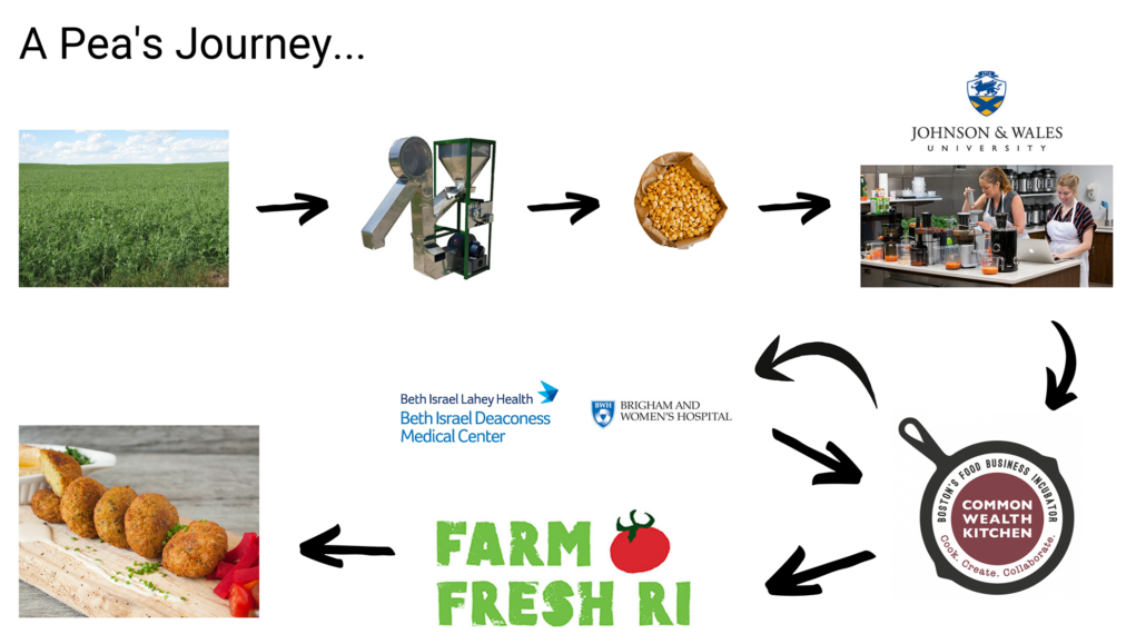 Graphic showing the journey of a pea in this project