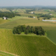 aerial view of vineyard, trees, and surrounding land