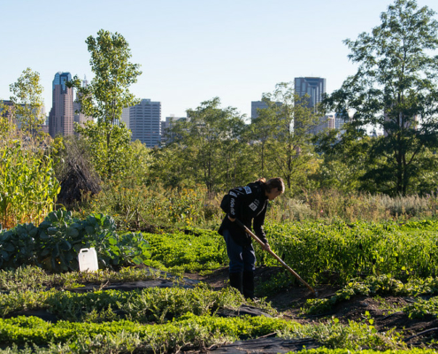 person working with hand tools in garden in the foreground, against a cityscape of tall buildings on the horizon
