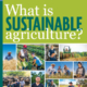 cover of SARE publication What is Sustainable Agriculture? with photo montage