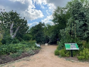 The Festival Beach Food Forest, un jardín forestal comunitario público en el centro de Austin, Texas.