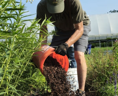 person leaning over to empty bucket of mulch on the ground in a field with high tunnel in background and foliage at side