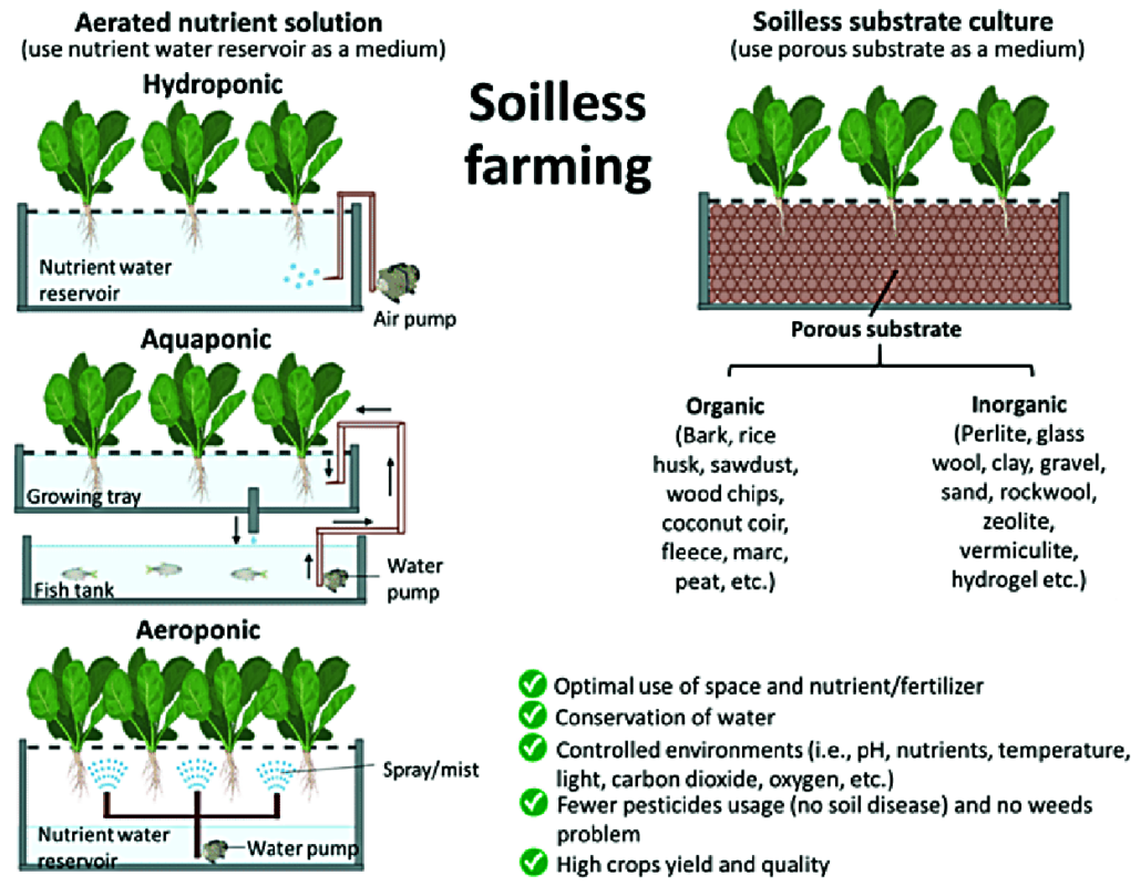 Soilless Systems graph