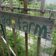 Sign at Mad Farm